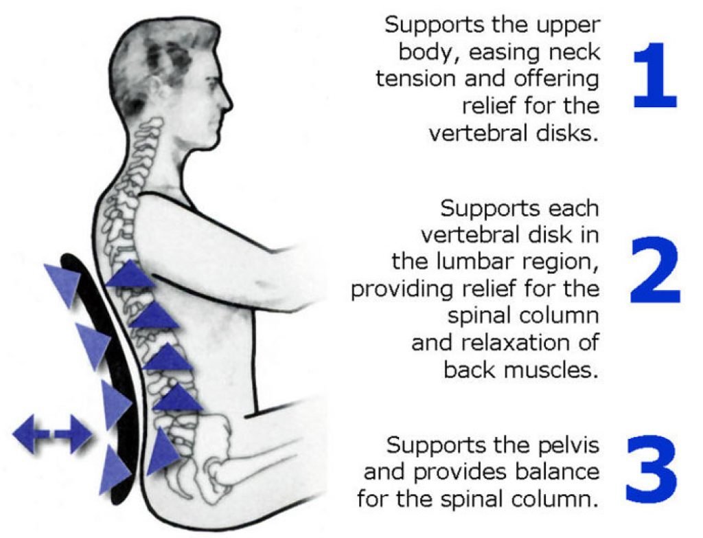 lumbar support description