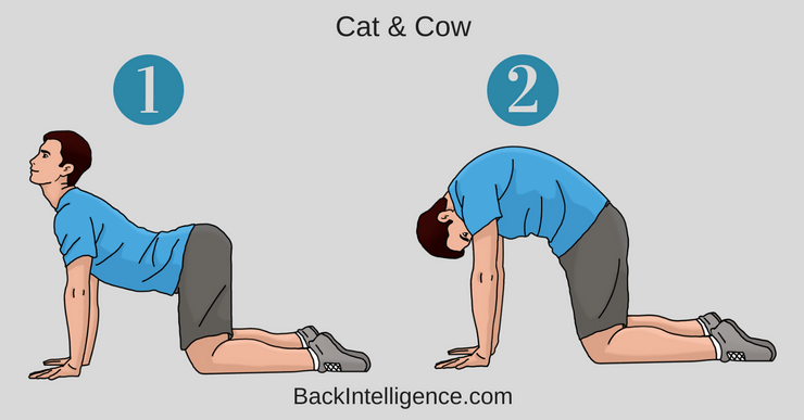 display how to do cat and cow for spinal decompression